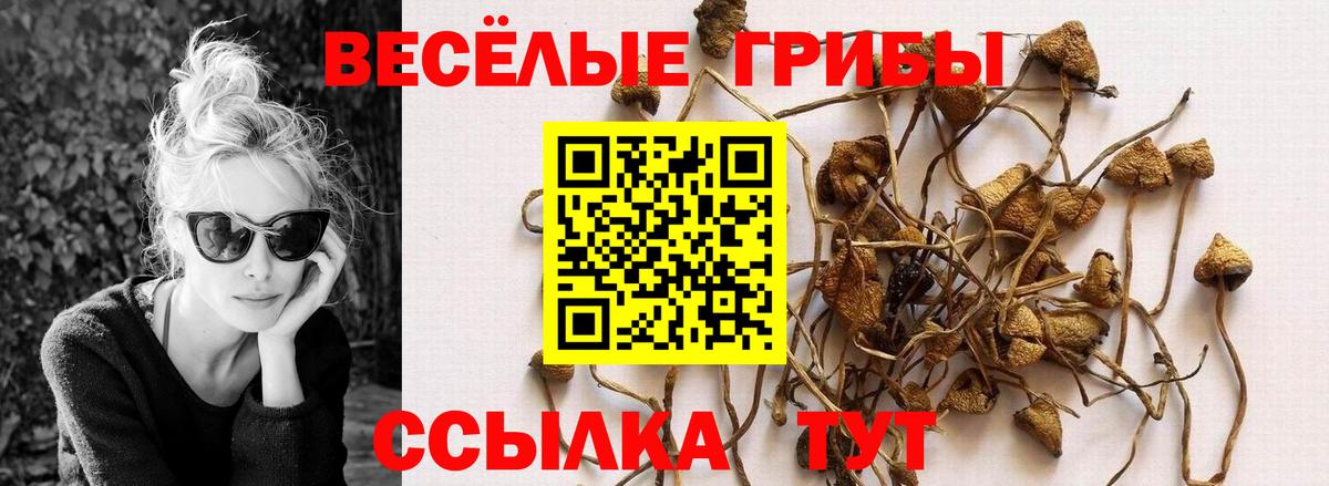 Галлюциногенные грибы мухоморы  Галлюциногенные грибы GOLDEN TEACHER  Орск  Вход с VPN 