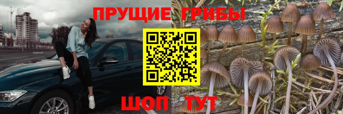 Псилоцибиновые грибы Magic Shrooms Орск